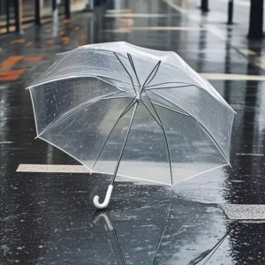 Transparent Straight Umbrella Clear POE Parasol with 8 Ribs and Long Handle