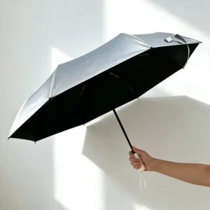 UV-Protective Automatic Transparent Umbrella Customized for Women
