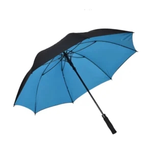 Umbrella Tricycle Umbrella