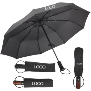 Windproof Foldable Automatic Umbrella with Case and Fiberglass Frame