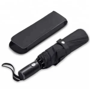 Small Automatic Umbrella