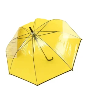 Women’s Clear Bubble Shape Transparent Rain Umbrella Semi-Automatic Open Design for Adults